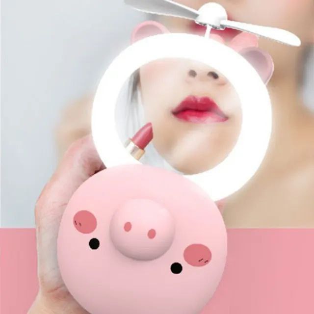 آینه آرایشی LED دار خوکی با تمرکز بر استفاده آسان و نتیجه طبیعی در گروه آیینه