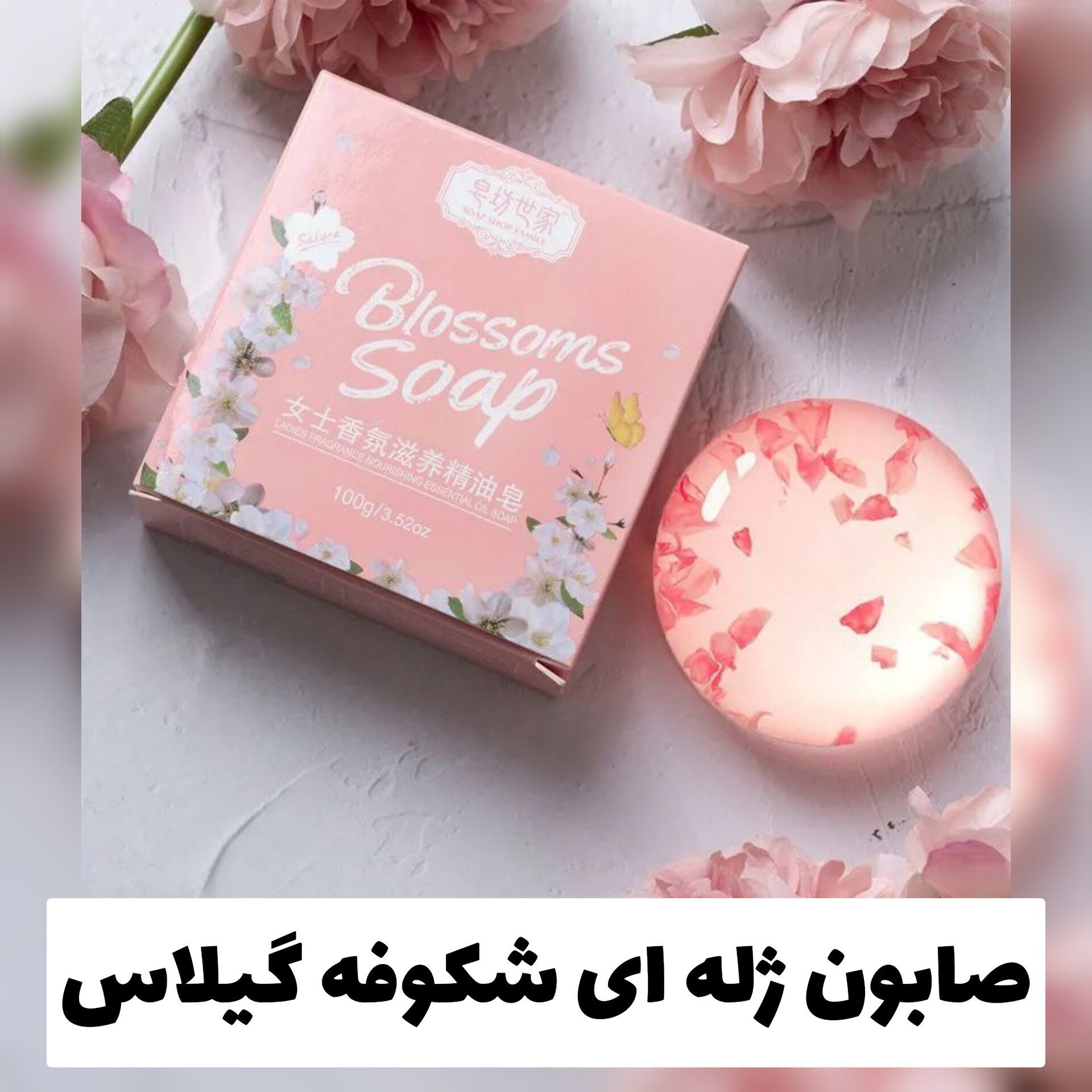 صابون ژله ای شکوفه های گیلاس؛ گزینه‌ای مناسب برای تکمیل روتین زیبایی در گروه صابون
